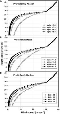 Modelling Wind Damage to Southeastern U.S. Trees: Effects of Wind Profile, Gaps, Neighborhood Interactions, and Wind Direction